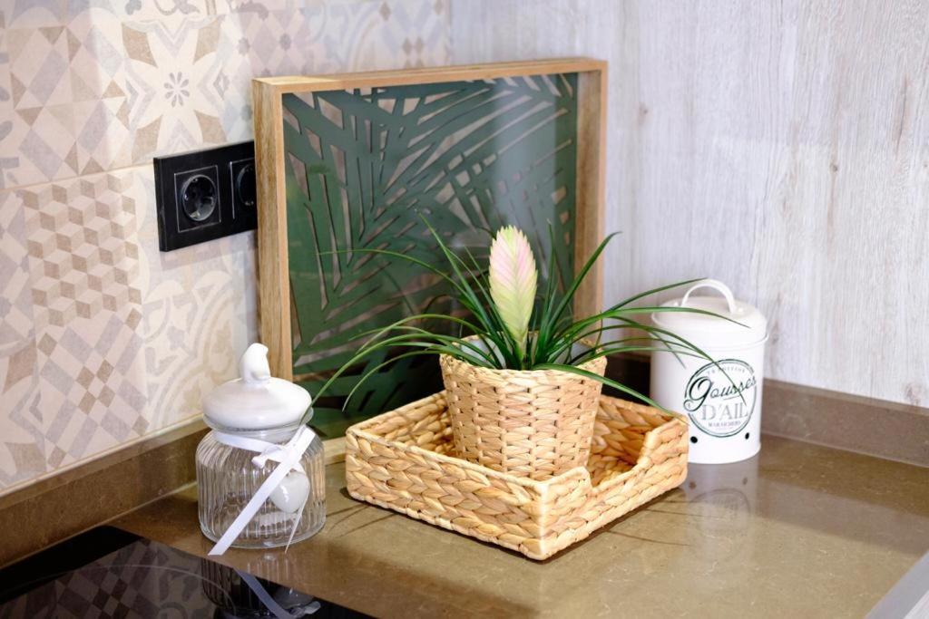 Apartamento Vintage En El Centro De Malaga Luaran gambar
